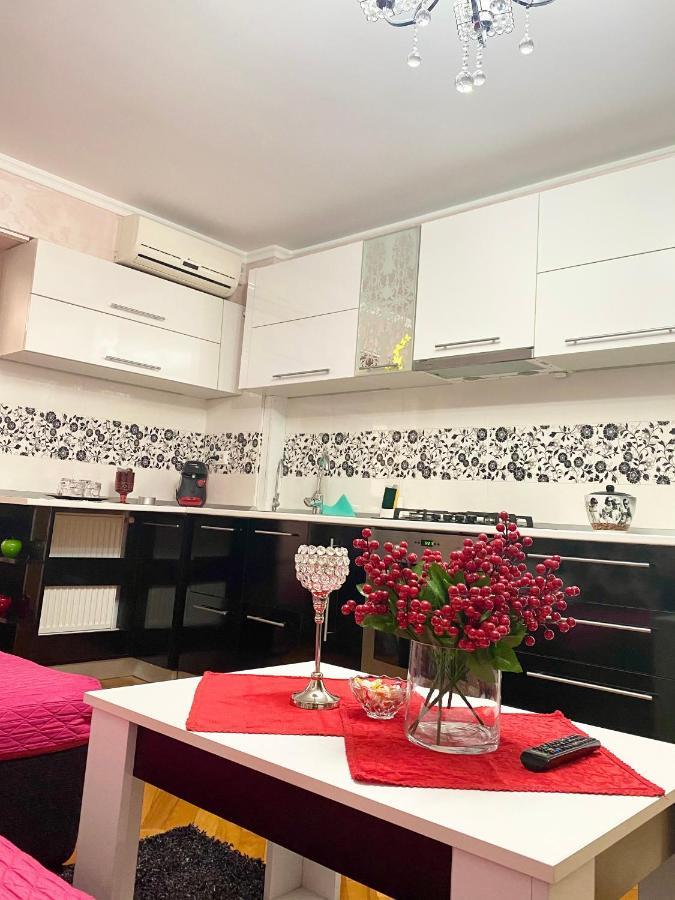 Tribunal Apartament Langa Faleza Dunarii Brăila Екстериор снимка